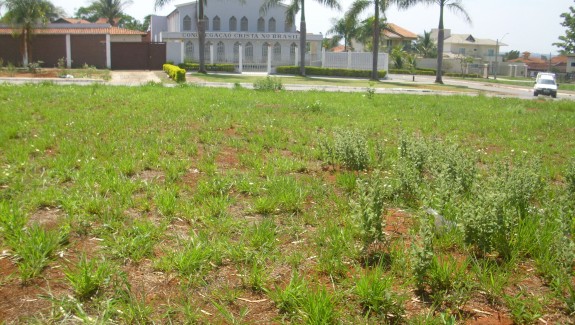TERRENO SETOR JAÓ