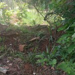 CHACARA - GLEDSEN - FOTO 2