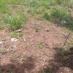 CHACARA - GLEDSEN - FOTO 3